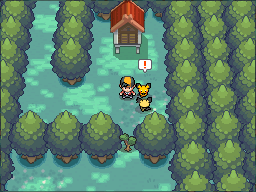 pokemon heartgold emulator messed up textures